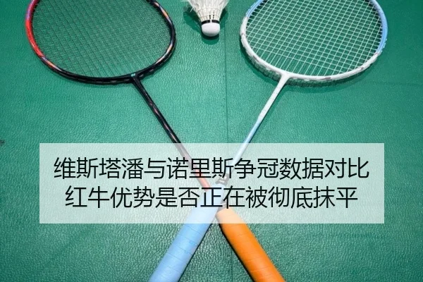 维斯塔潘与诺里斯争冠数据对比 红牛优势是否正在被彻底抹平
